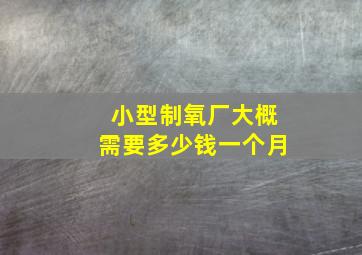 小型制氧厂大概需要多少钱一个月