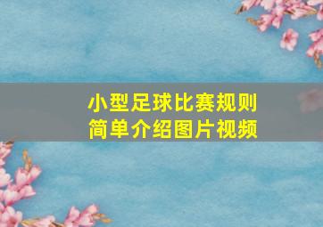 小型足球比赛规则简单介绍图片视频