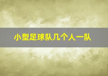 小型足球队几个人一队