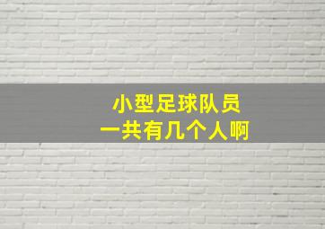 小型足球队员一共有几个人啊