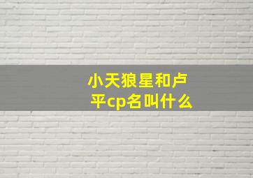 小天狼星和卢平cp名叫什么