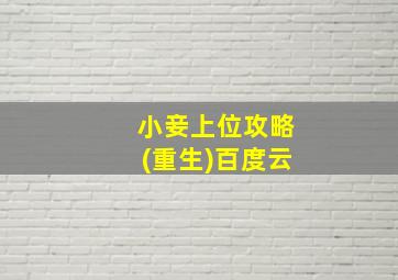 小妾上位攻略(重生)百度云