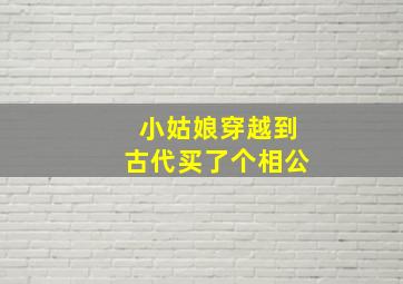 小姑娘穿越到古代买了个相公