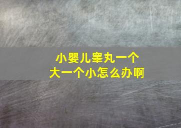 小婴儿睾丸一个大一个小怎么办啊