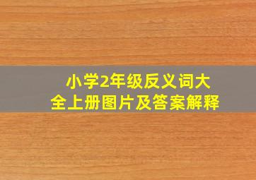 小学2年级反义词大全上册图片及答案解释