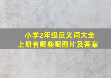 小学2年级反义词大全上册有哪些呢图片及答案