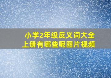 小学2年级反义词大全上册有哪些呢图片视频