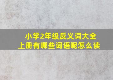 小学2年级反义词大全上册有哪些词语呢怎么读