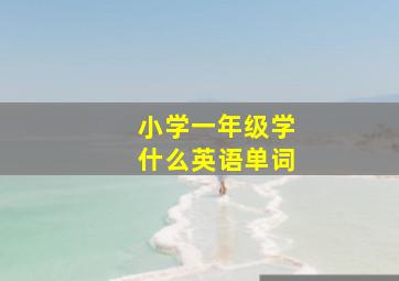 小学一年级学什么英语单词