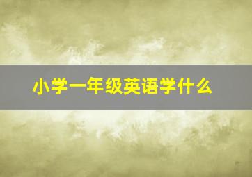 小学一年级英语学什么