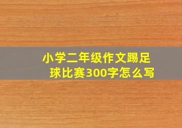 小学二年级作文踢足球比赛300字怎么写