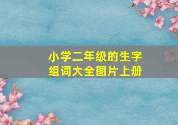 小学二年级的生字组词大全图片上册