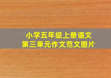 小学五年级上册语文第三单元作文范文图片