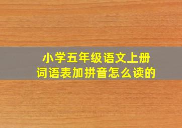 小学五年级语文上册词语表加拼音怎么读的