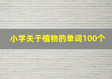 小学关于植物的单词100个