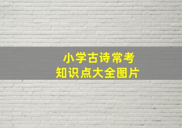 小学古诗常考知识点大全图片