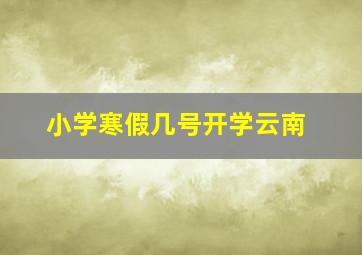 小学寒假几号开学云南