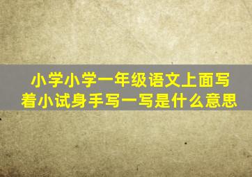 小学小学一年级语文上面写着小试身手写一写是什么意思