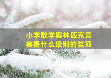 小学数学奥林匹克竞赛是什么级别的奖项