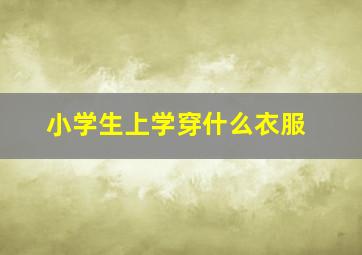 小学生上学穿什么衣服