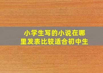 小学生写的小说在哪里发表比较适合初中生