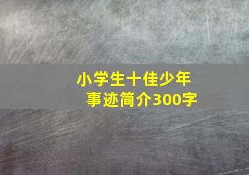 小学生十佳少年事迹简介300字