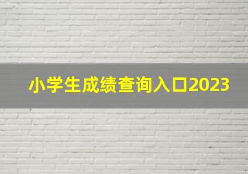 小学生成绩查询入口2023