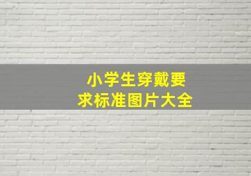 小学生穿戴要求标准图片大全