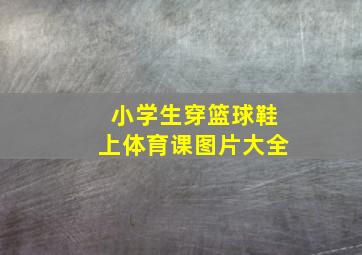 小学生穿篮球鞋上体育课图片大全