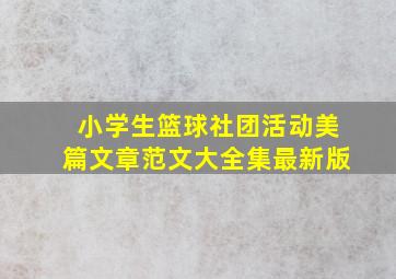 小学生篮球社团活动美篇文章范文大全集最新版