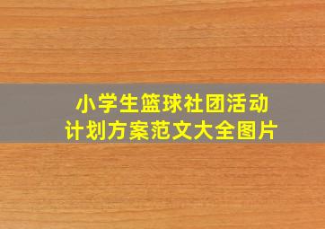 小学生篮球社团活动计划方案范文大全图片