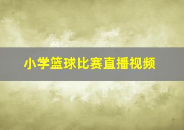 小学篮球比赛直播视频