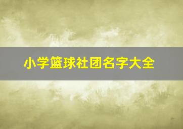 小学篮球社团名字大全