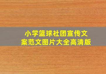 小学篮球社团宣传文案范文图片大全高清版