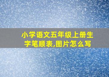 小学语文五年级上册生字笔顺表,图片怎么写