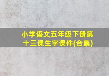 小学语文五年级下册第十三课生字课件(合集)