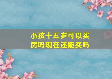 小孩十五岁可以买房吗现在还能买吗