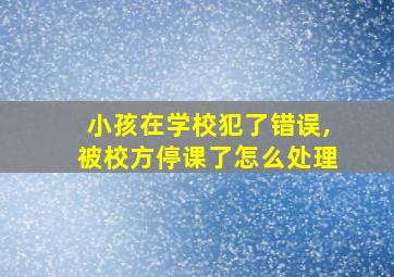 小孩在学校犯了错误,被校方停课了怎么处理