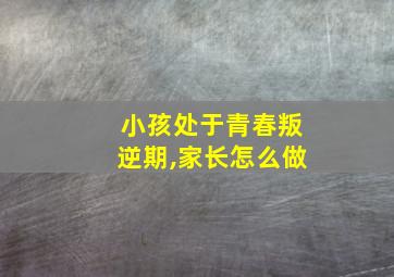 小孩处于青春叛逆期,家长怎么做