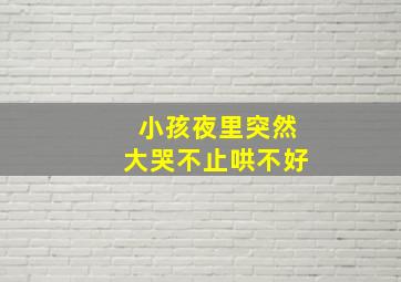 小孩夜里突然大哭不止哄不好