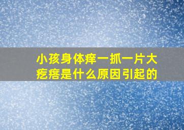 小孩身体痒一抓一片大疙瘩是什么原因引起的