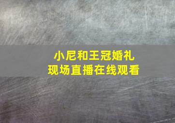 小尼和王冠婚礼现场直播在线观看