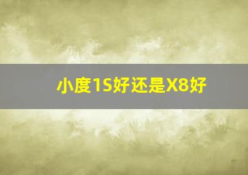 小度1S好还是X8好