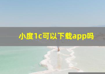 小度1c可以下载app吗