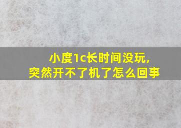 小度1c长时间没玩,突然开不了机了怎么回事