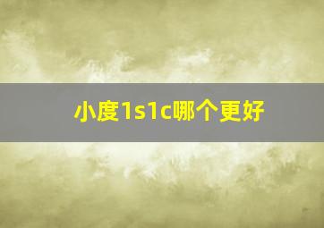 小度1s1c哪个更好