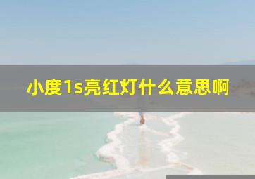 小度1s亮红灯什么意思啊