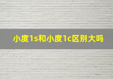 小度1s和小度1c区别大吗