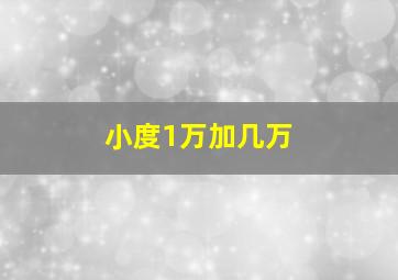 小度1万加几万