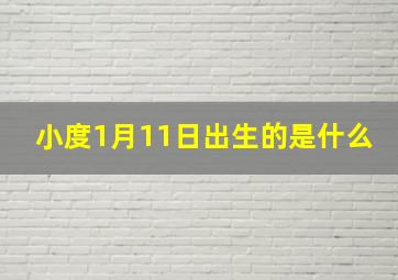 小度1月11日出生的是什么